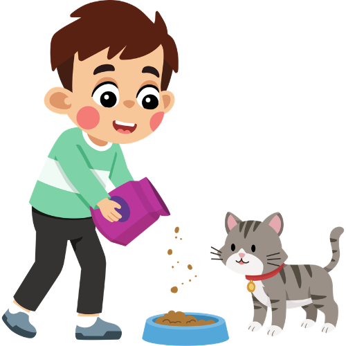 Practical Life Skills Exercises
